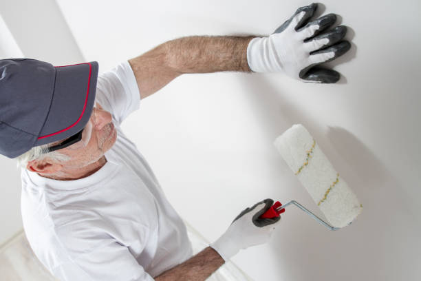 South Russell, OH Mold Removal Company