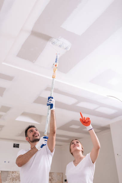 Best Attic Mold Removal  in South Russell, OH