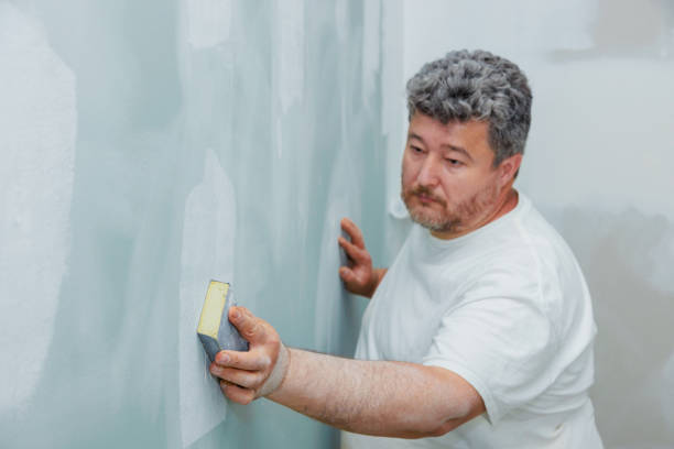 Best Dehumidification Services  in South Russell, OH