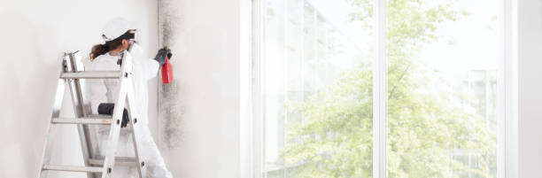 Best Air Quality Testing for Mold Spores  in South Russell, OH